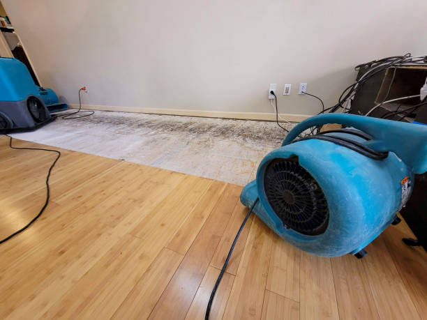 Professional Basement Flood Cleanup technician working in Scurry, TX